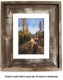 horse trail rides near me in Havre, Montana